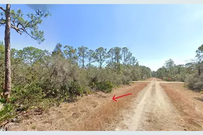 715 Scott St, Lake Placid, FL 33852 - Photo 7
