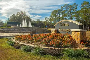 684 E Noah Ln, Citrus Springs, FL 34434 - Photo 1