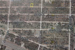 0000 NE 64 St, Williston, FL 32696 - Photo 1