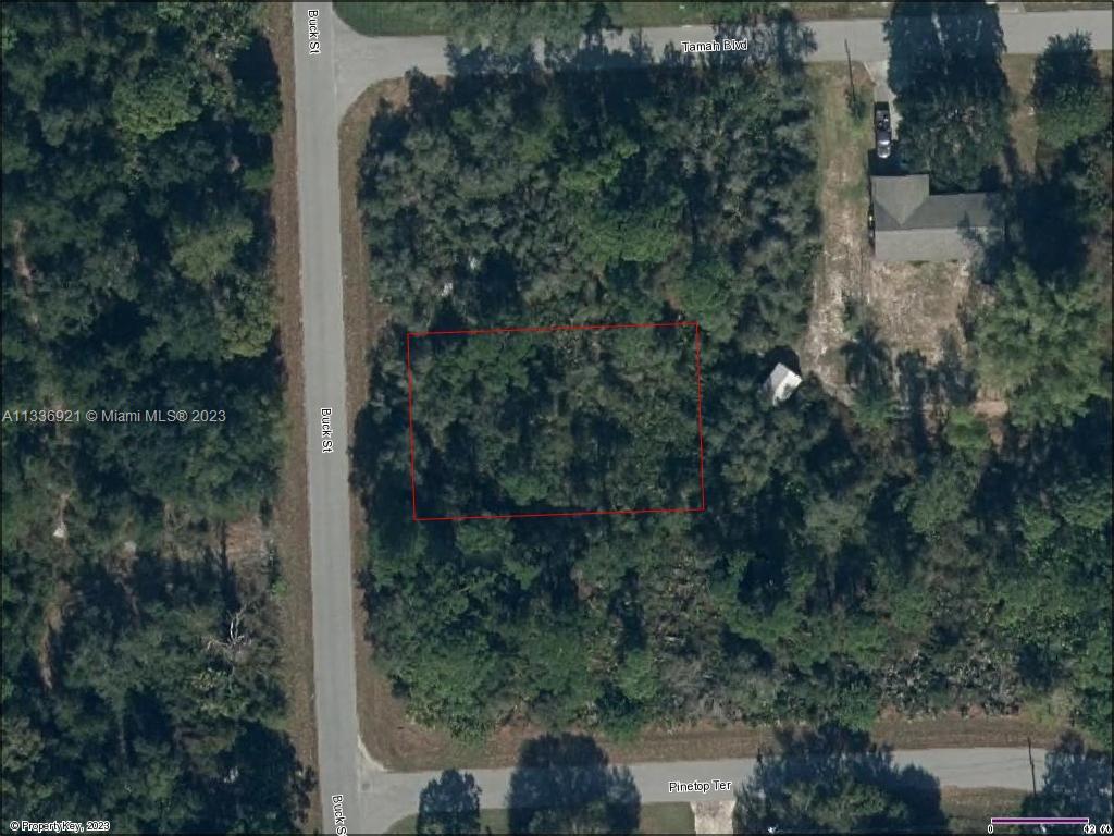 1541 Buck, Lake Placid, FL 33852 MLS A11336921 Coldwell Banker