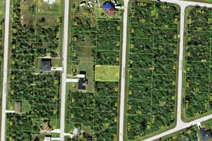 343 Findlay St, Port Charlotte, FL 33954 - Photo 1