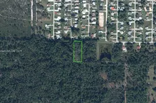 1902 Daffodil Ave, Sebring, FL 33875 - Photo 1