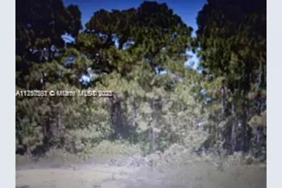 628 Eisenhower Blvd, Lehigh Acres, FL 33974 - Photo 1