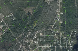 1401 Rutledge Ave, Lake Placid, FL 33852 - Photo 1