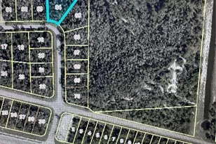 649 Lydia St, Lehigh Acres, FL 33974 - Photo 1