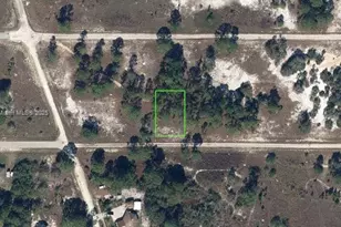 312 Sunflower Ave, Lake Placid, FL 33852 - Photo 1