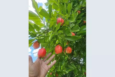 0 E 52, Hialeah, FL 33013 - Photo 1