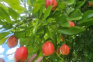 0 E 52, Hialeah, FL 33013 - Photo 1