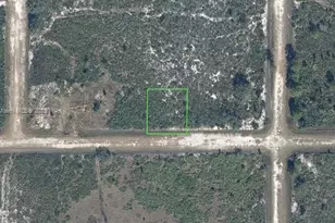 2222 Favre Rd, Avon Park, FL 33825 - Photo 1