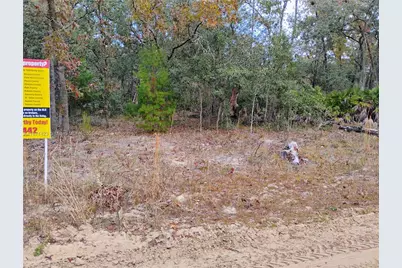 244 Thompson, Palatka, FL 32148 - Photo 1