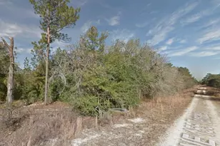 Lot 11 NE 155th Terrace, Williston, FL 32696 - Photo 1