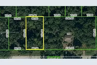 1508 Poplar St., Lake Placid, FL 33852 - Photo 1