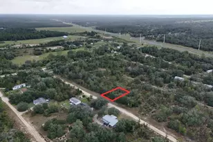 0 NE 62nd St, Williston, FL 32696 - Photo 1