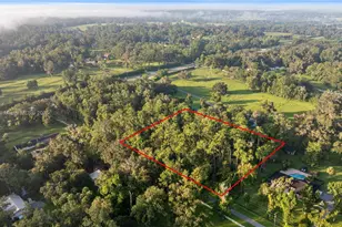 Tbd SW 17th Ave, Ocala, FL 34471 - Photo 1