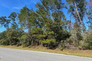 Tbd 112th St, Ocala, FL 34476 - Photo 1