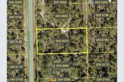 2310 Canton Ave, Lehigh Acres, FL 33920 - Photo 1