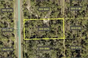 2310 Canton Ave, Lehigh Acres, FL 33920 - Photo 1