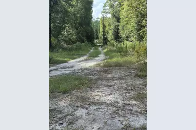 2390 NW 65th Ave, Other City - In The State Of Florida, FL 32619 - Photo 1