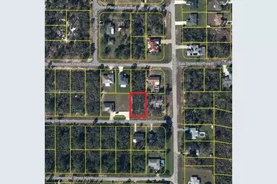 101 Boeing St Street NW, Lake Placid, FL 33852 - Photo 1