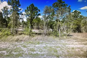 761 Lehigh Acres, Lehigh Acres, FL 33974 - Photo 1