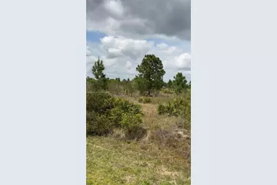 2458 W Butkus Rd, Avon Park, FL 33825 - Photo 1