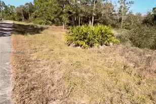 2112 Irving Ave, Lehigh Acres, FL 33920 - Photo 1