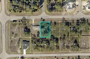 1208 Jaguar Blvd, Lehigh Acres, FL 33974 - Photo 1