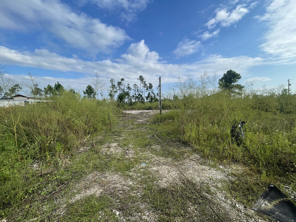 115 Chapel Ln, Overstreet, FL 32456 MLS 315587 Coldwell Banker