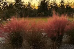 290 Rudy's Blaze, Wewahitchka, FL 32465 - Photo 75