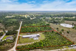 290 Rudy's Blaze, Wewahitchka, FL 32465 - Photo 57