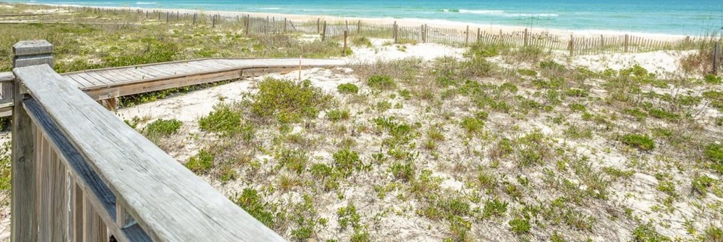 1846 Sunset Dr, Saint George Island FL  32328-3120 exterior