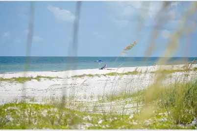 2311 Tally Ho Rd, Saint George Island, FL 32328 - Photo 15