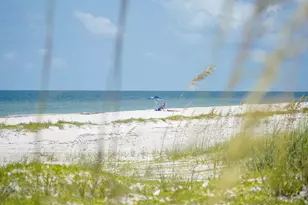 2311 Tally Ho Rd, Saint George Island, FL 32328 - Photo 15