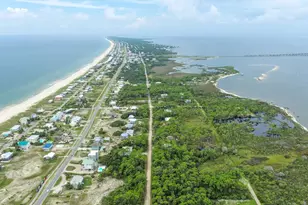 2311 Tally Ho Rd, Saint George Island, FL 32328 - Photo 81