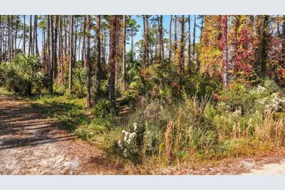 10 Eventide Dr, Cape San Blas, FL 32456 - Photo 3
