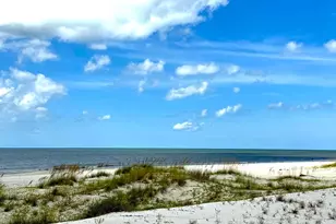 442 Indian Pass Rd, Port Saint Joe, FL 32456 - Photo 57