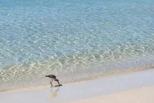 117 38th St, Mexico Beach, FL 32456 - Photo 39