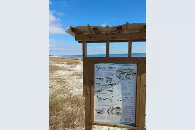 16-6 Collins Ave, Lanark Village, FL 32323 - Photo 41