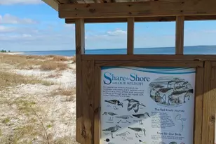 16-6 Collins Ave, Lanark Village, FL 32323 - Photo 41