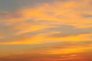 16-6 Collins Ave, Lanark Village, FL 32323 - Photo 43