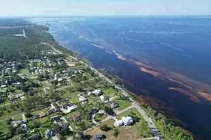 2101 Constitution Dr, Port Saint Joe, FL 32456 - Photo 83