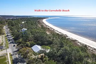 819 Haven Ct, Carrabelle, FL 32322 - Photo 21