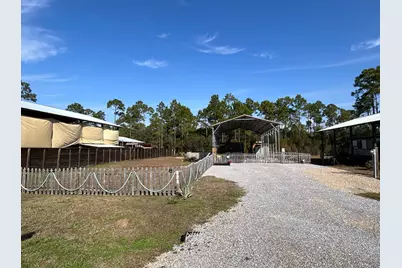 161 Dancing Moon Ln, Port Saint Joe, FL 32456 - Photo 1