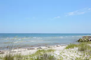 2319 Hwy 98 W, Carrabelle, FL 32322 - Photo 51