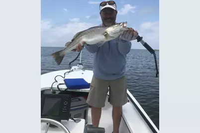 1412 Dogwood Dr, Saint George Island, FL 32328 - Photo 57