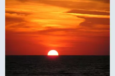 1412 Dogwood Dr, Saint George Island, FL 32328 - Photo 51