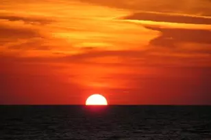 1412 Dogwood Dr, Saint George Island, FL 32328 - Photo 51