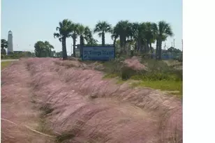 1412 Dogwood Dr, Saint George Island, FL 32328 - Photo 41