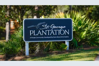 1412 Dogwood Dr, Saint George Island, FL 32328 - Photo 43