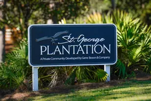 1412 Dogwood Dr, Saint George Island, FL 32328 - Photo 43